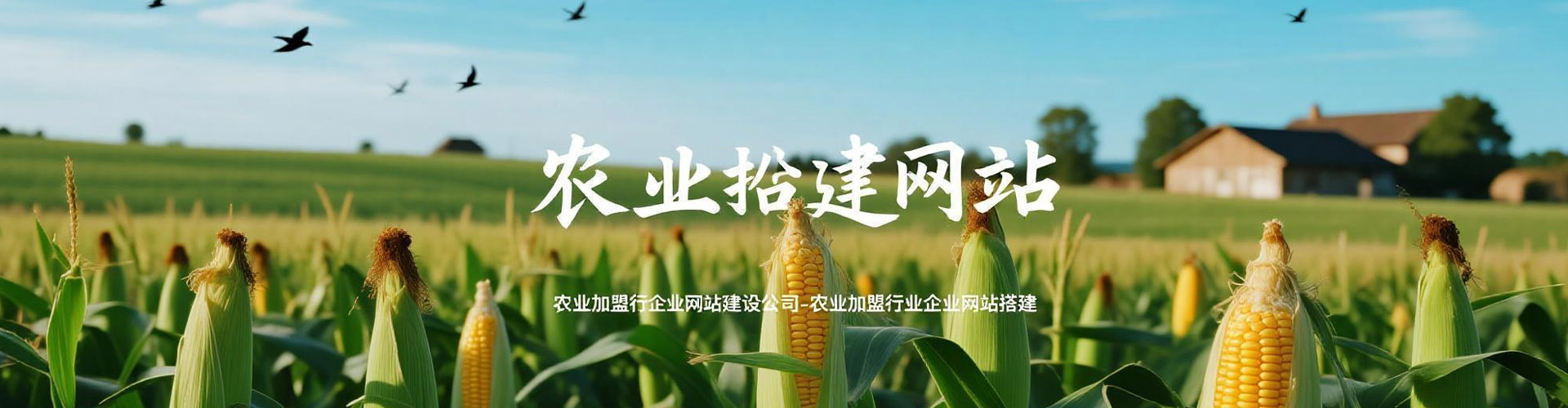 农业网站搭建